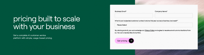 Ada AI Pricing Screenshot
