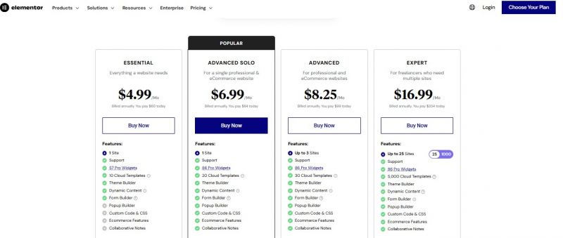 Elementor ai Pricing Screenshot